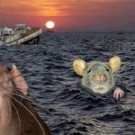 Die Ratten verlassen das sinkende Schiff.